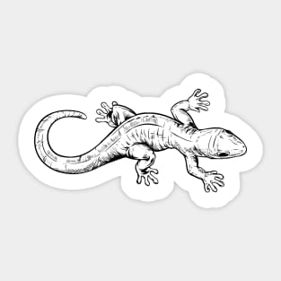 Line drawing - Gecko Sticker